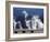 Landscape with Bison and Steam from Geysers, Yellowstone National Park, Wyoming Us-Pete Cairns-Framed Photographic Print