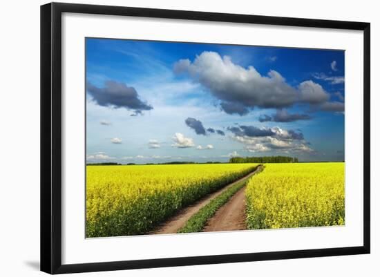 Photo, , large