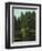 Landscape with Brook and Rocks-Gustave Courbet-Framed Giclee Print