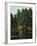 Landscape with Brook and Rocks-Gustave Courbet-Framed Giclee Print