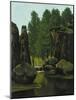 Landscape with Brook and Rocks-Gustave Courbet-Mounted Giclee Print