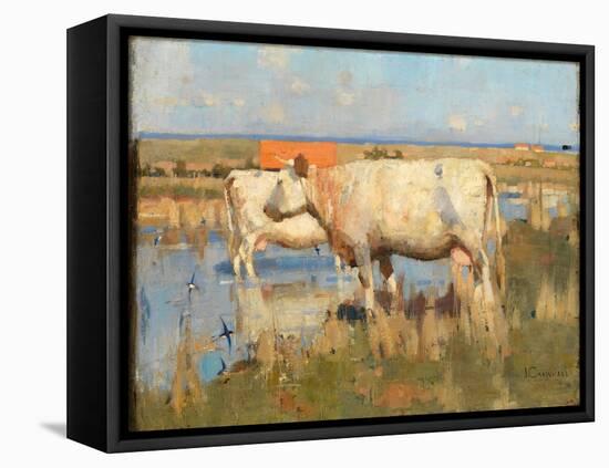 Landscape with Cattle, C.1883-85 (Oil on Canvas)-Joseph Crawhall-Framed Premier Image Canvas