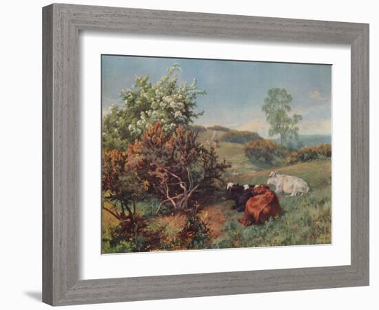 Landscape with Cattle (In the Nower, Dorking), c1899-Charles Collins-Framed Giclee Print