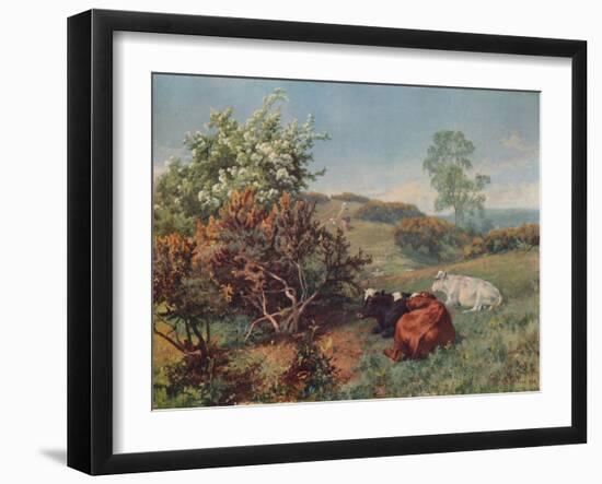 Landscape with Cattle (In the Nower, Dorking), c1899-Charles Collins-Framed Giclee Print