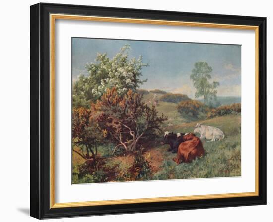 Landscape with Cattle (In the Nower, Dorking), c1899-Charles Collins-Framed Giclee Print