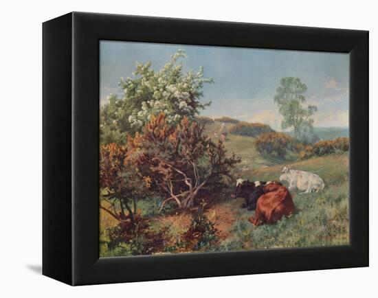 Landscape with Cattle (In the Nower, Dorking), c1899-Charles Collins-Framed Premier Image Canvas