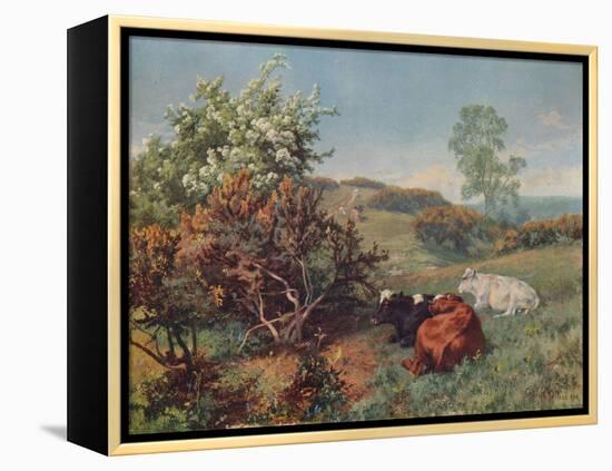 Landscape with Cattle (In the Nower, Dorking), c1899-Charles Collins-Framed Premier Image Canvas