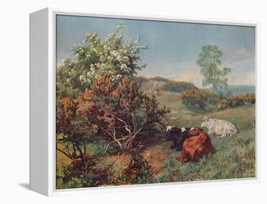 Landscape with Cattle (In the Nower, Dorking), c1899-Charles Collins-Framed Premier Image Canvas