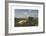 Landscape with Cattle-Rosa Bonheur-Framed Premium Giclee Print