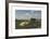 Landscape with Cattle-Rosa Bonheur-Framed Premium Giclee Print