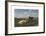 Landscape with Cattle-Rosa Bonheur-Framed Premium Giclee Print