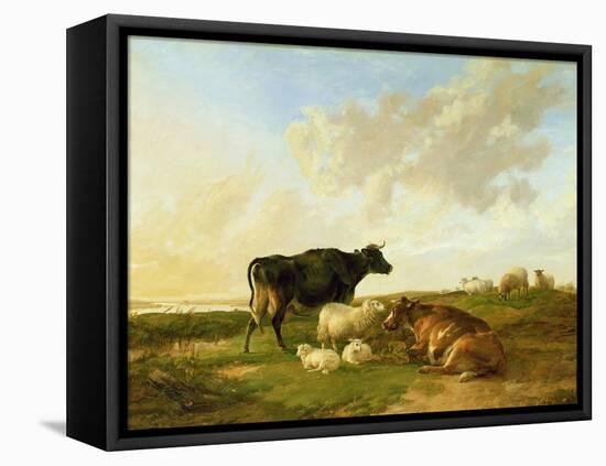 Landscape with Cows and Sheep, 1850-Thomas Sidney Cooper-Framed Premier Image Canvas