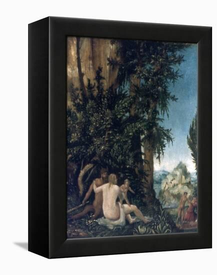 Landscape with Family of Satyrs, 1507-Albrecht Altdorfer-Framed Premier Image Canvas