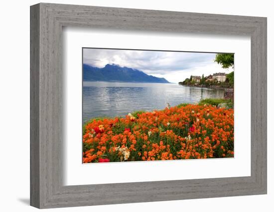 Landscape with Flowers and Lake Geneva, Montreux, Switzerland.-felker-Framed Photographic Print