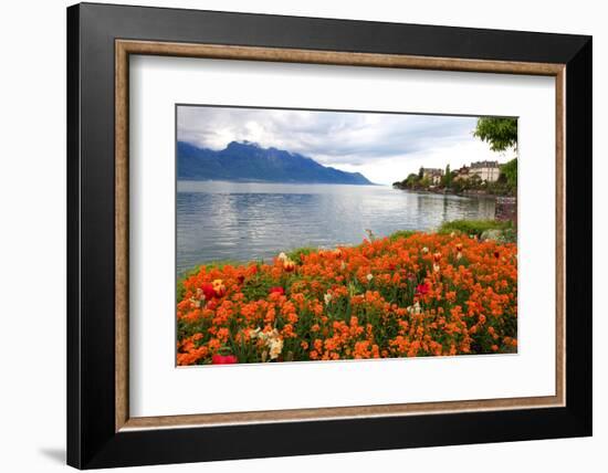 Landscape with Flowers and Lake Geneva, Montreux, Switzerland.-felker-Framed Photographic Print