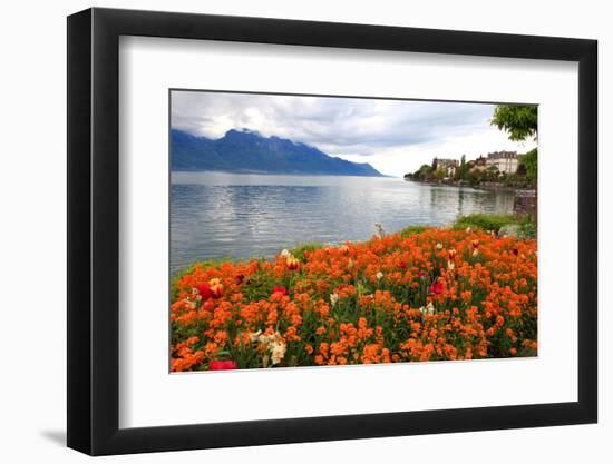 Landscape with Flowers and Lake Geneva, Montreux, Switzerland.-felker-Framed Photographic Print