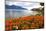 Landscape with Flowers and Lake Geneva, Montreux, Switzerland.-felker-Mounted Photographic Print