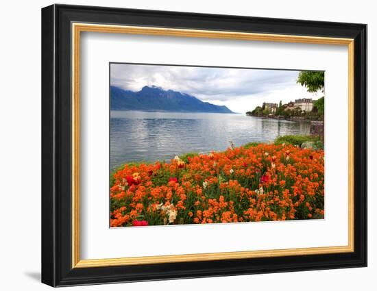 Landscape with Flowers and Lake Geneva, Montreux, Switzerland.-felker-Framed Photographic Print