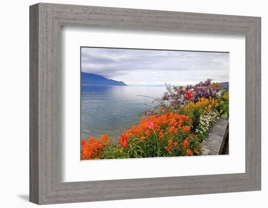 Landscape with Flowers and Lake Geneva, Montreux, Switzerland.-felker-Framed Photographic Print