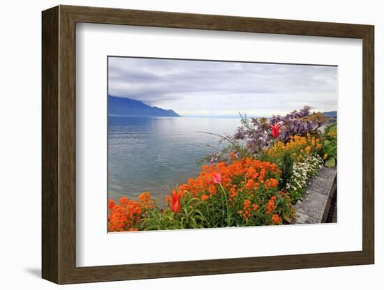 Landscape with Flowers and Lake Geneva, Montreux, Switzerland.-felker-Framed Photographic Print
