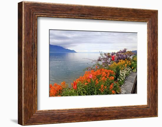 Landscape with Flowers and Lake Geneva, Montreux, Switzerland.-felker-Framed Photographic Print