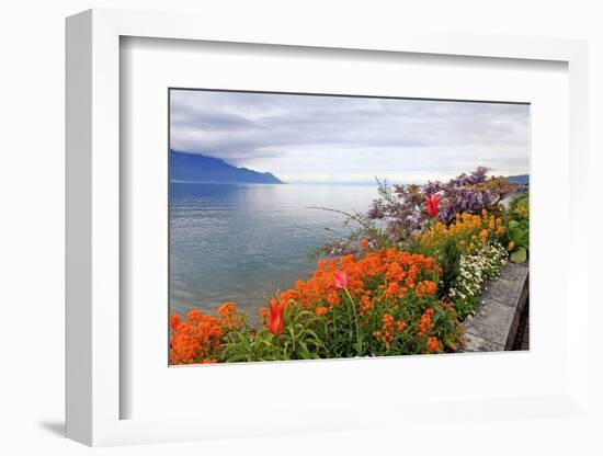 Landscape with Flowers and Lake Geneva, Montreux, Switzerland.-felker-Framed Photographic Print