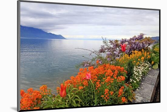 Landscape with Flowers and Lake Geneva, Montreux, Switzerland.-felker-Mounted Photographic Print