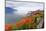 Landscape with Flowers and Lake Geneva, Montreux, Switzerland.-felker-Mounted Photographic Print