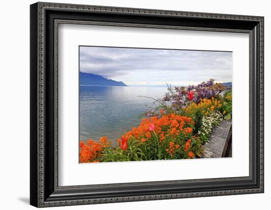 Landscape with Flowers and Lake Geneva, Montreux, Switzerland.-felker-Framed Photographic Print