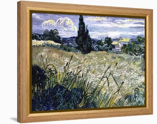 Landscape with Green Corn-Vincent van Gogh-Framed Premier Image Canvas