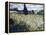 Landscape with Green Corn-Vincent van Gogh-Framed Premier Image Canvas