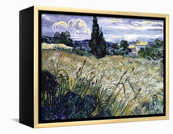 Landscape with Green Corn-Vincent van Gogh-Framed Premier Image Canvas