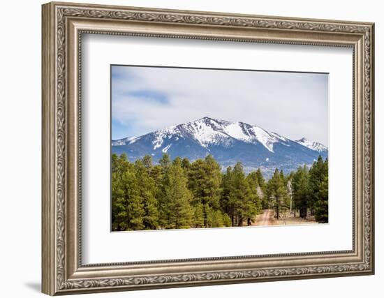 Landscape with Humphreys Peak Tallest in Arizona-digidreamgrafix-Framed Photographic Print