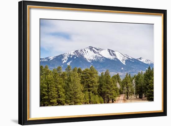 Landscape with Humphreys Peak Tallest in Arizona-digidreamgrafix-Framed Photographic Print