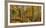 Landscape with Iraty forest, Basque Country, Pyrenees-Atlantique, France-Panoramic Images-Framed Photographic Print