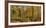 Landscape with Iraty forest, Basque Country, Pyrenees-Atlantique, France-Panoramic Images-Framed Photographic Print