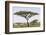 Landscape with Large Acacia Tree Near Lake Ndutu, Ngorongoro, Tanzania-James Heupel-Framed Photographic Print