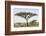 Landscape with Large Acacia Tree Near Lake Ndutu, Ngorongoro, Tanzania-James Heupel-Framed Photographic Print