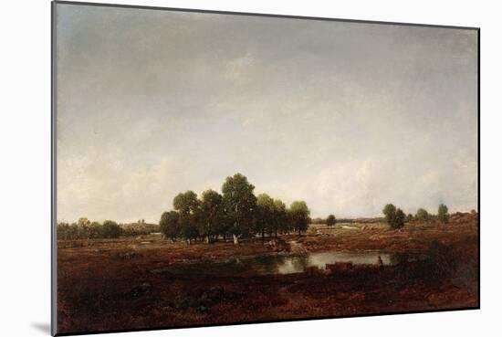 Landscape with Marsh (Oil on Cradled Panel)-Theodore Rousseau-Mounted Giclee Print