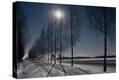 Stretched Canvas Print