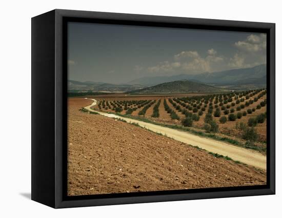 Landscape with Olive Trees, Near Jaen, Andalucia, Spain-Michael Busselle-Framed Premier Image Canvas