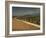 Landscape with Olive Trees, Near Jaen, Andalucia, Spain-Michael Busselle-Framed Photographic Print