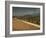 Landscape with Olive Trees, Near Jaen, Andalucia, Spain-Michael Busselle-Framed Photographic Print