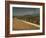 Landscape with Olive Trees, Near Jaen, Andalucia, Spain-Michael Busselle-Framed Photographic Print