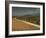 Landscape with Olive Trees, Near Jaen, Andalucia, Spain-Michael Busselle-Framed Photographic Print