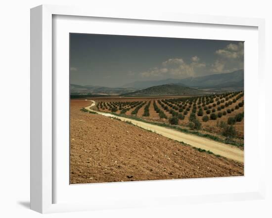 Landscape with Olive Trees, Near Jaen, Andalucia, Spain-Michael Busselle-Framed Photographic Print