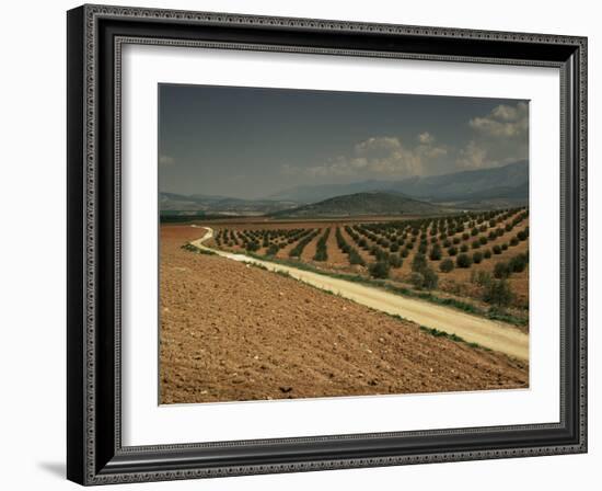 Landscape with Olive Trees, Near Jaen, Andalucia, Spain-Michael Busselle-Framed Photographic Print