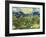 Landscape with Olive Trees-Vincent van Gogh-Framed Art Print