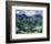 Landscape with Olive Trees-Vincent van Gogh-Framed Art Print