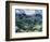 Landscape with Olive Trees-Vincent van Gogh-Framed Art Print